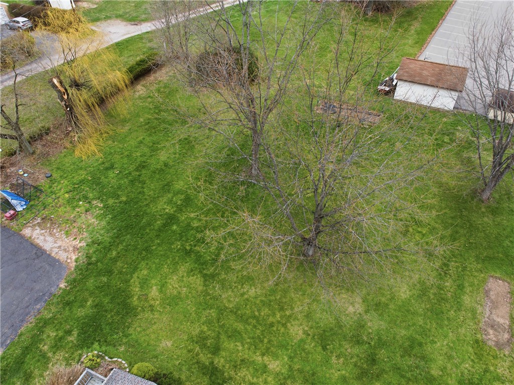 1510 Gringo Rd