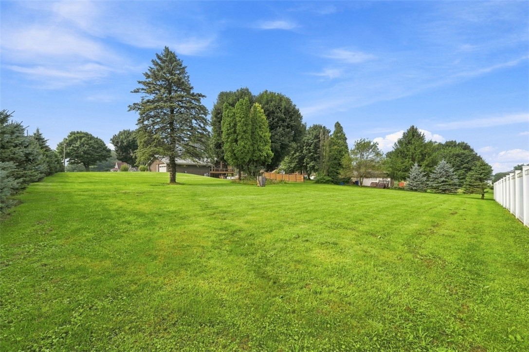 146 Shannon Rd