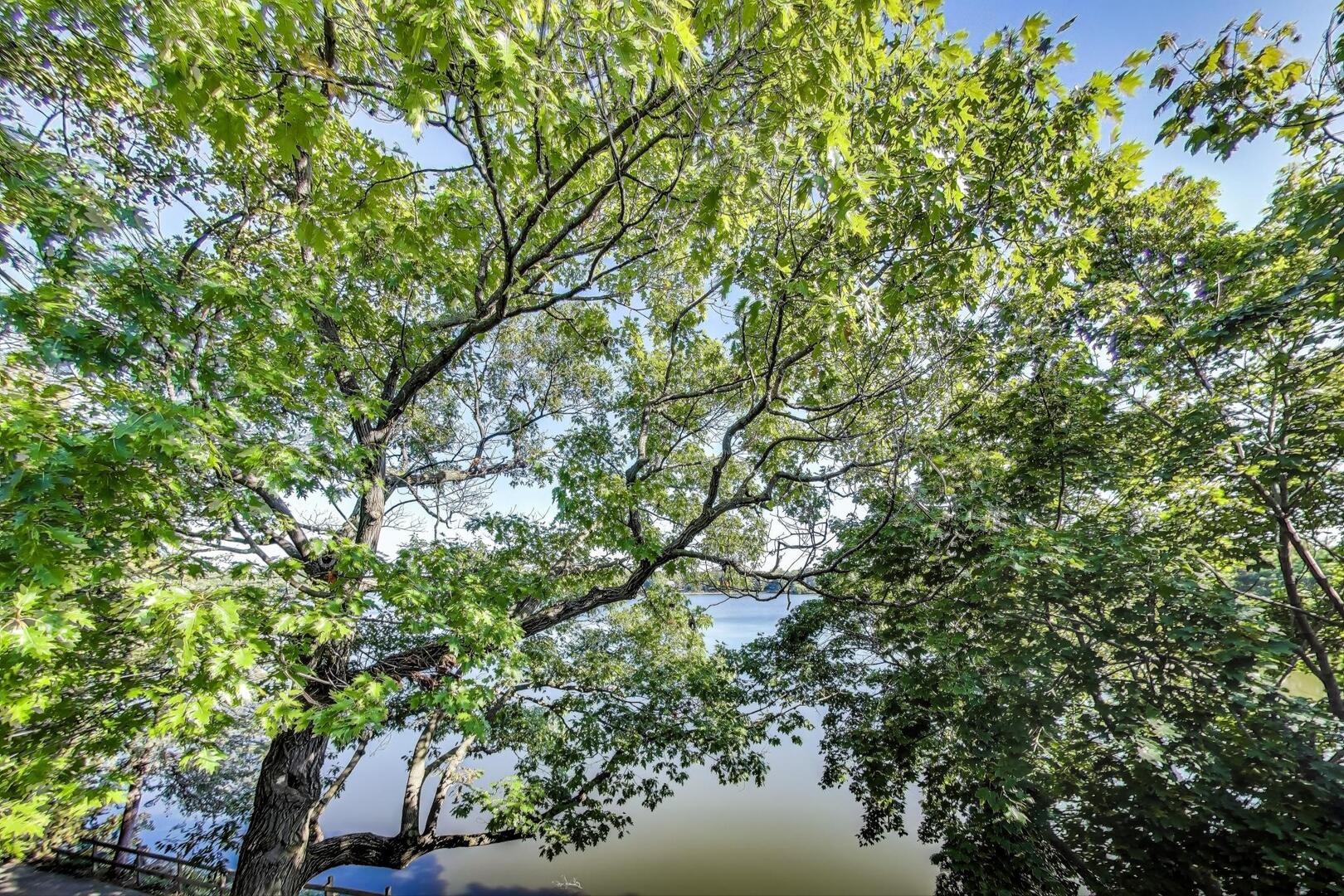 25 Shoreline Road Unit: B