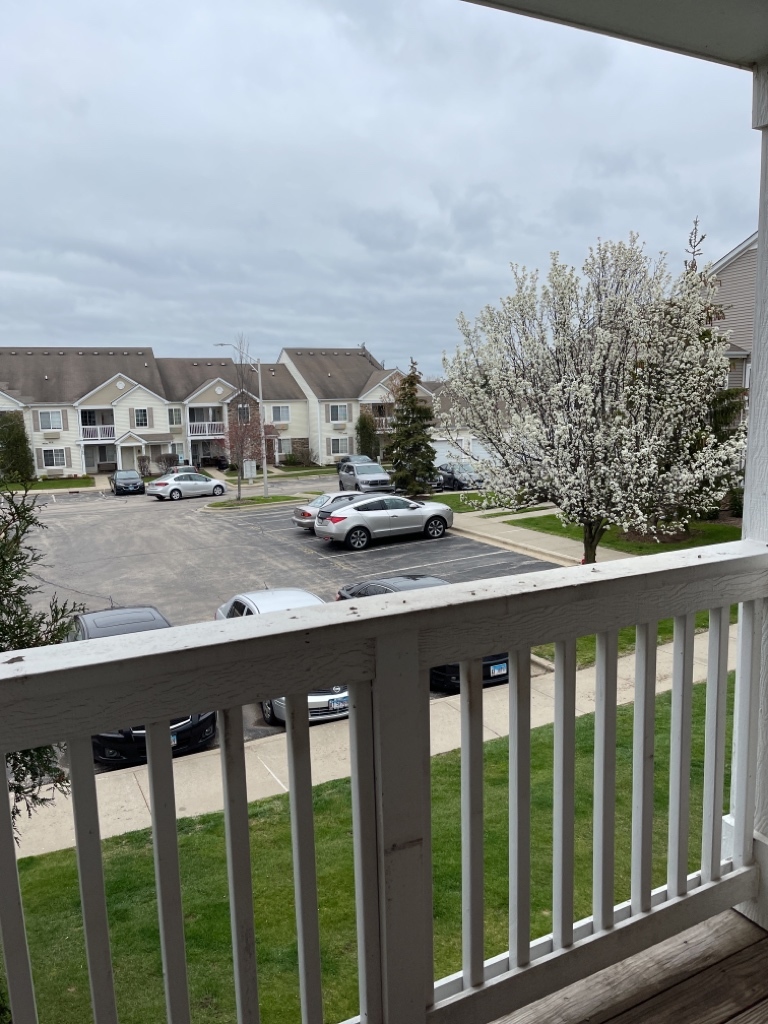 1517 Silverstone Drive Unit: 1517