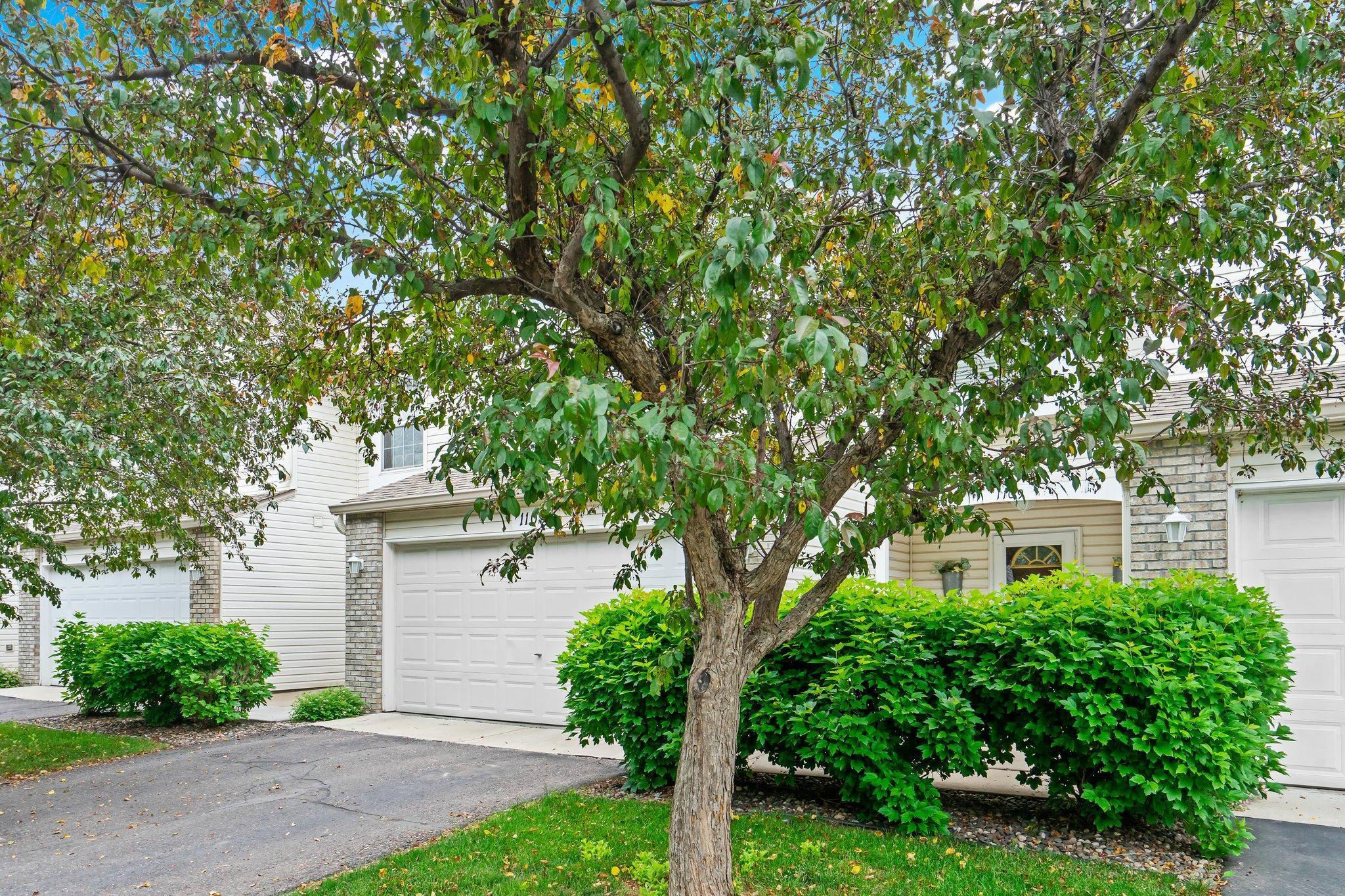 1109 Juniper Court