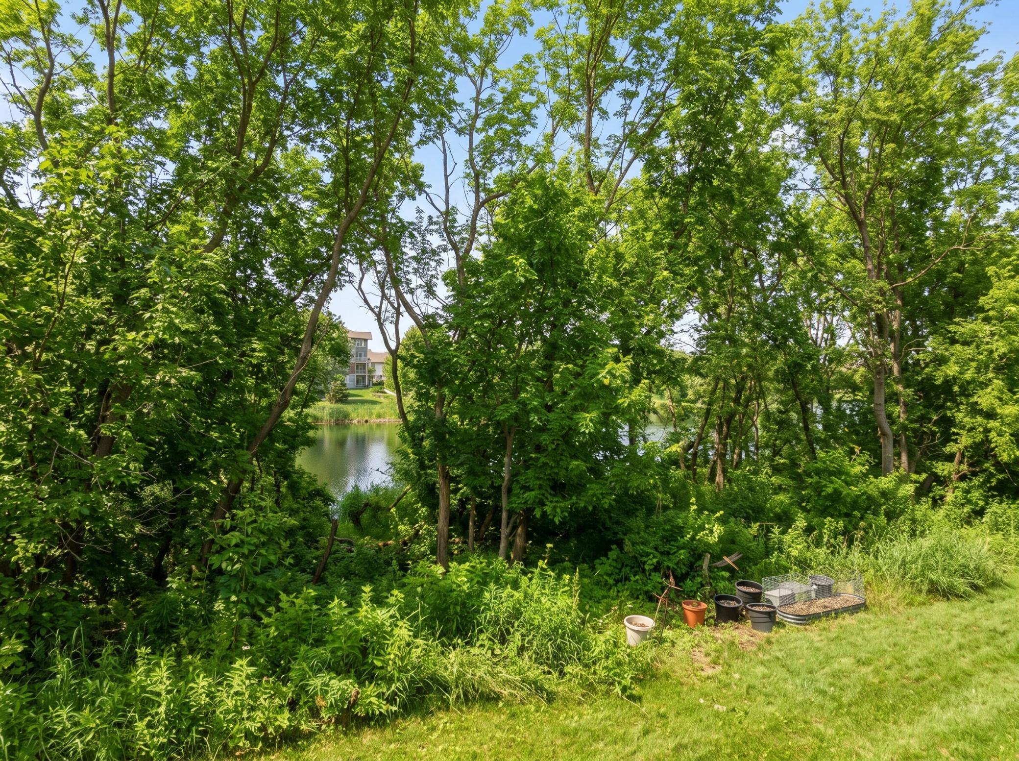 15585 Cherry Path