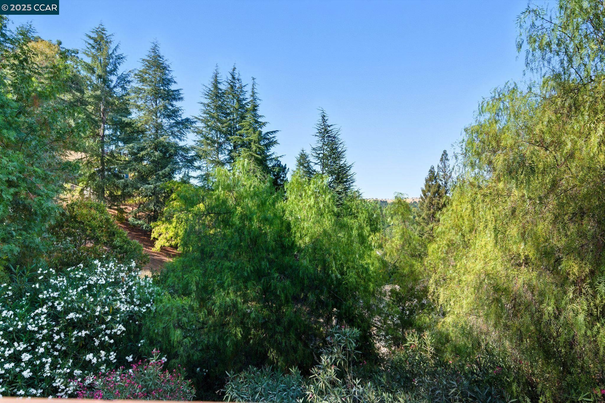 189 Rudgear Drive