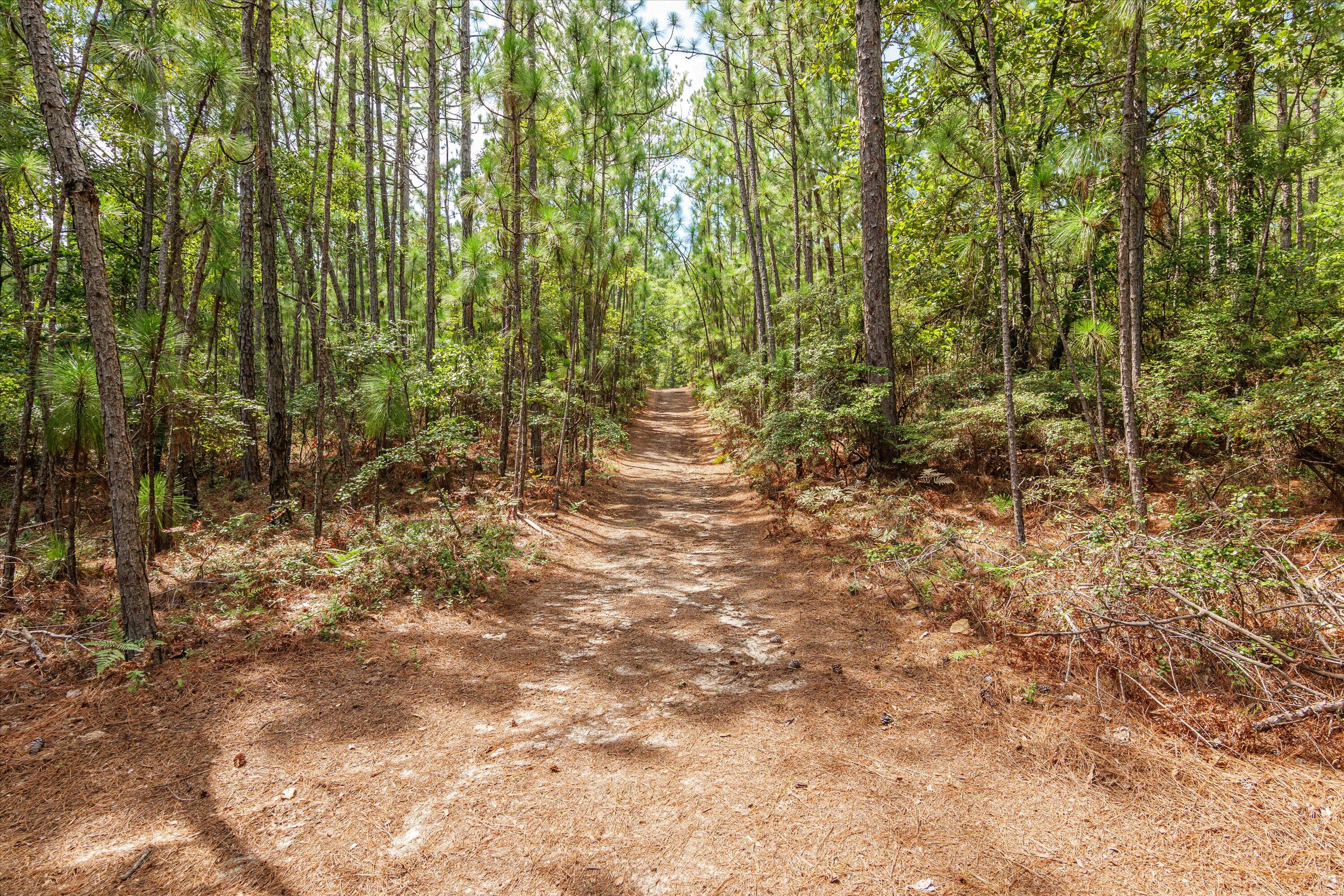 858 FIRE TOWER Road