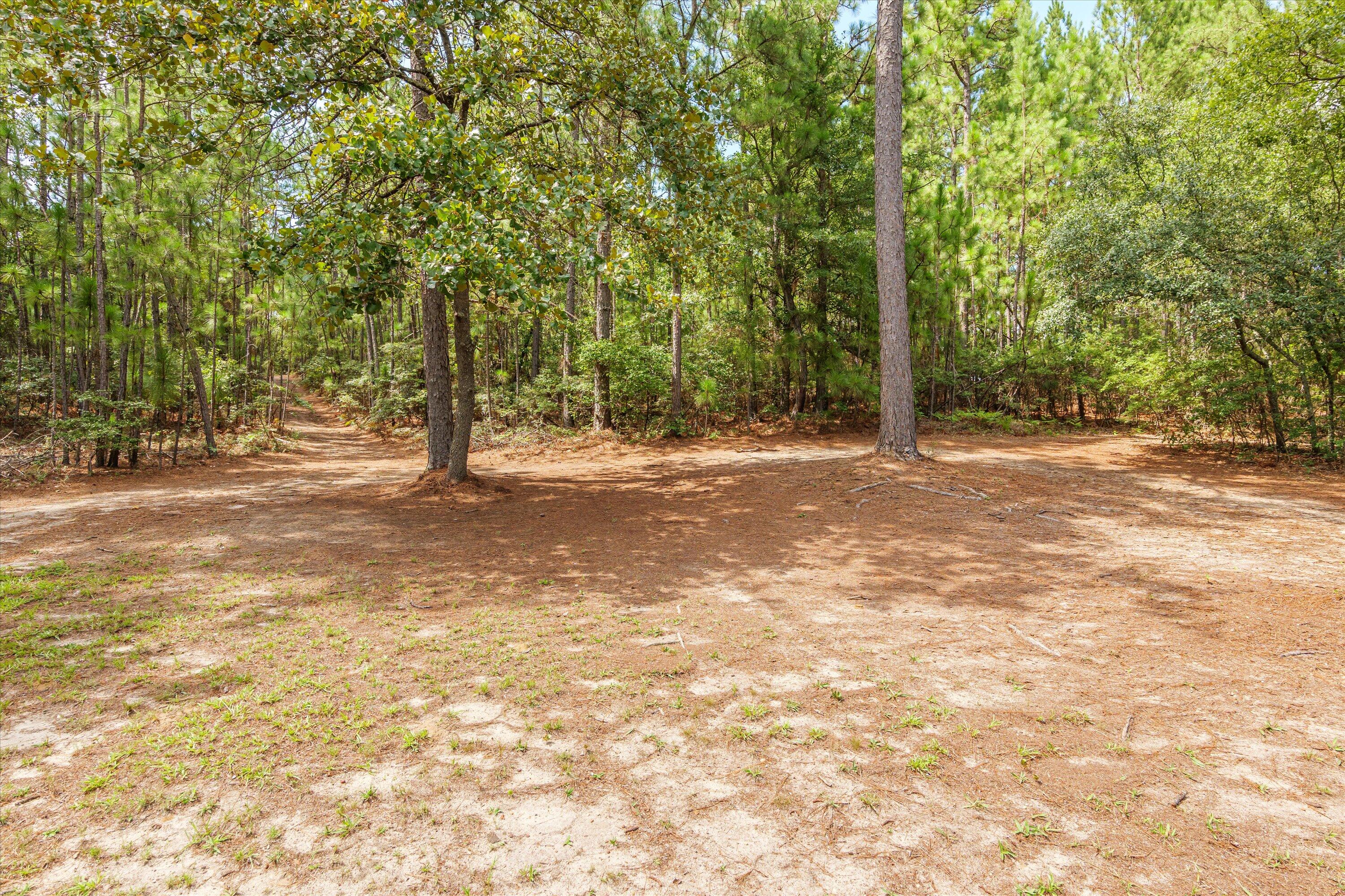 858 FIRE TOWER Road