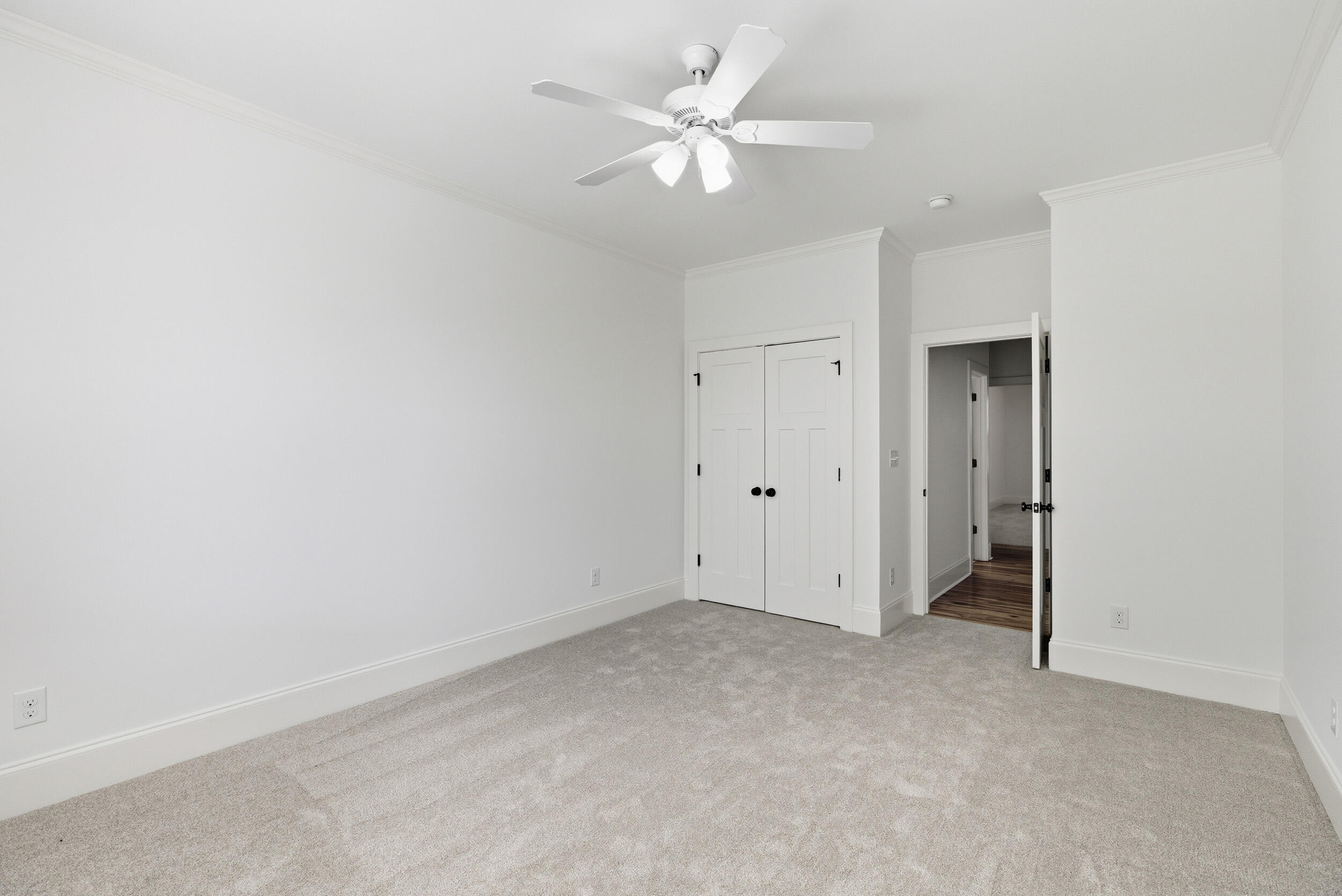 3808 Blue Springs Trace