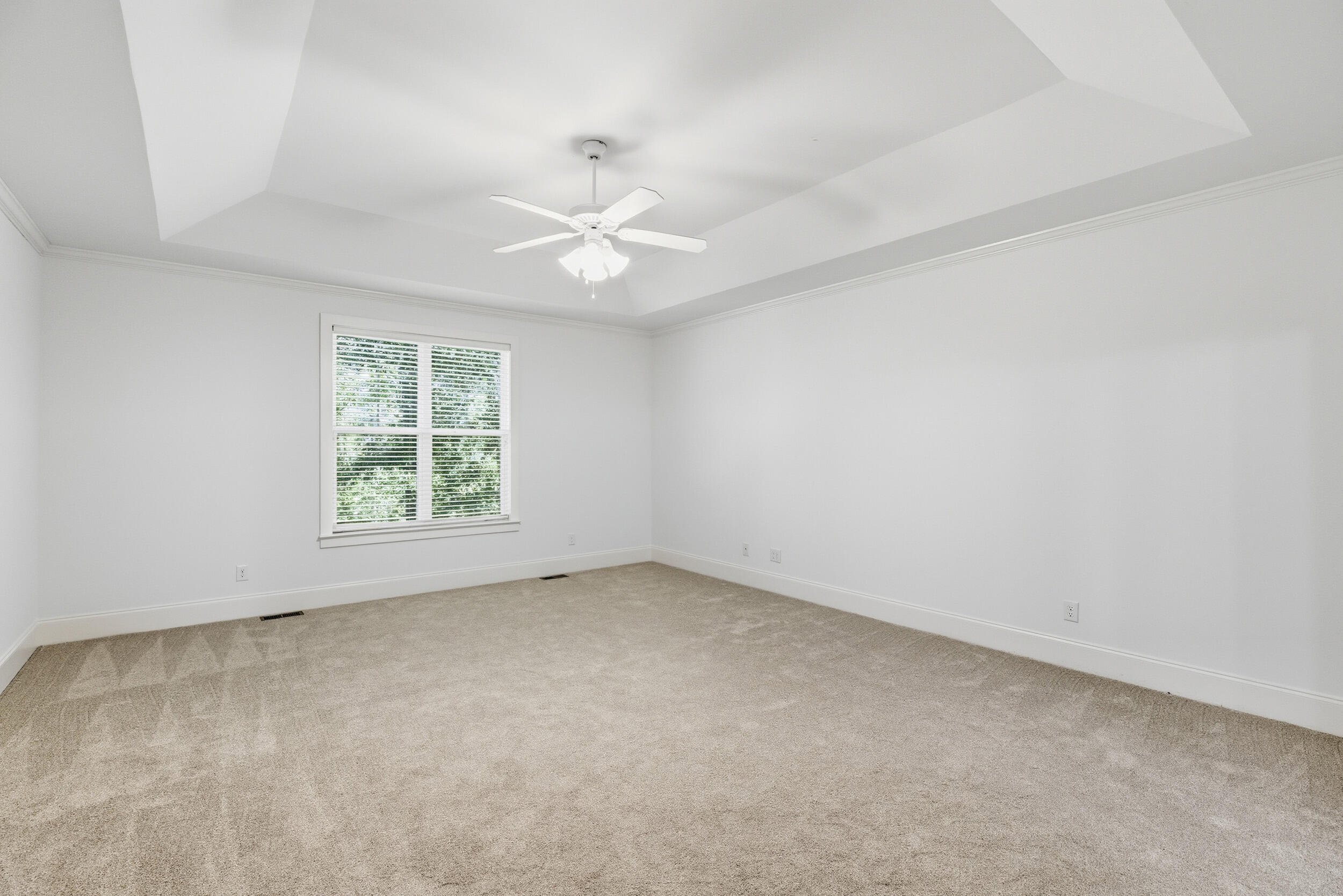 3808 Blue Springs Trace