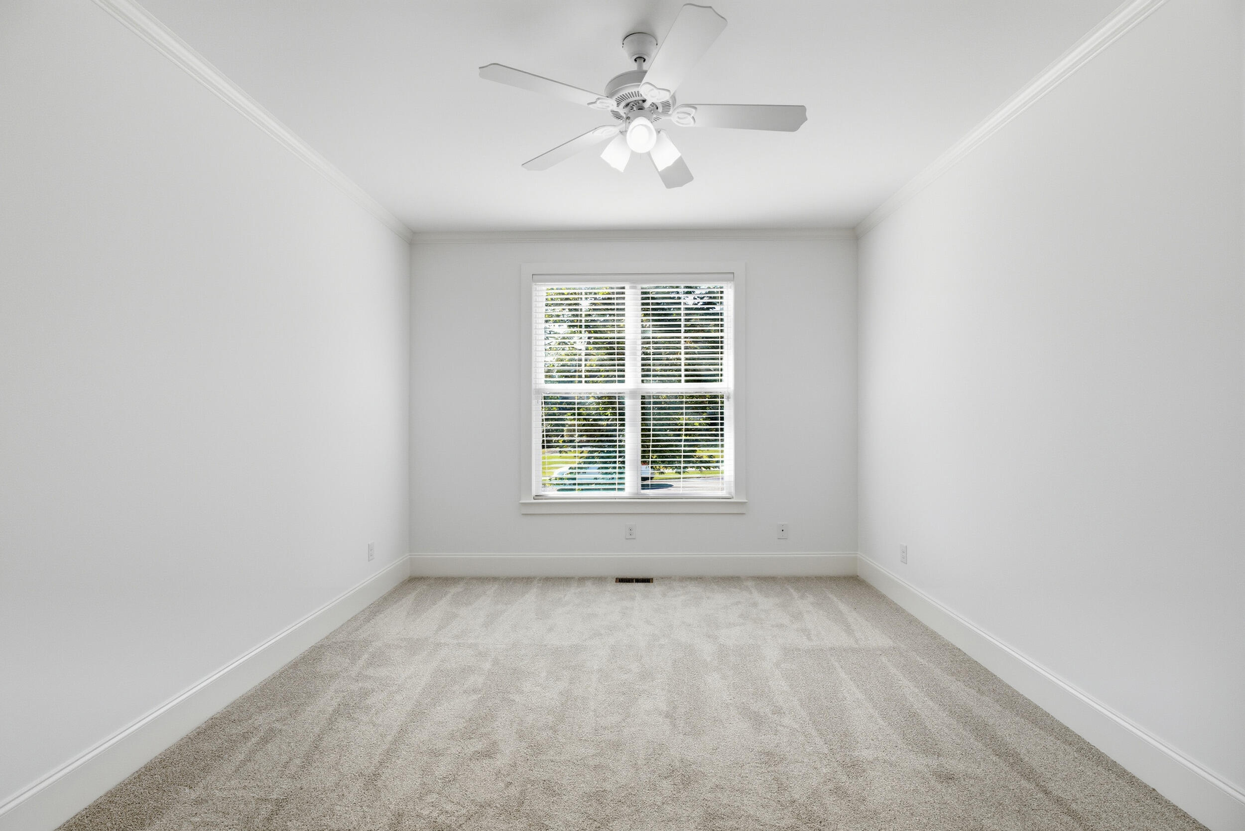 3808 Blue Springs Trace