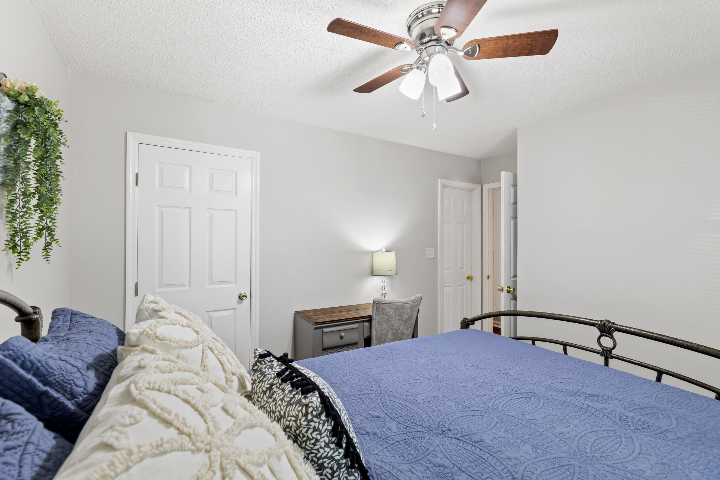 4019 Calypso Drive