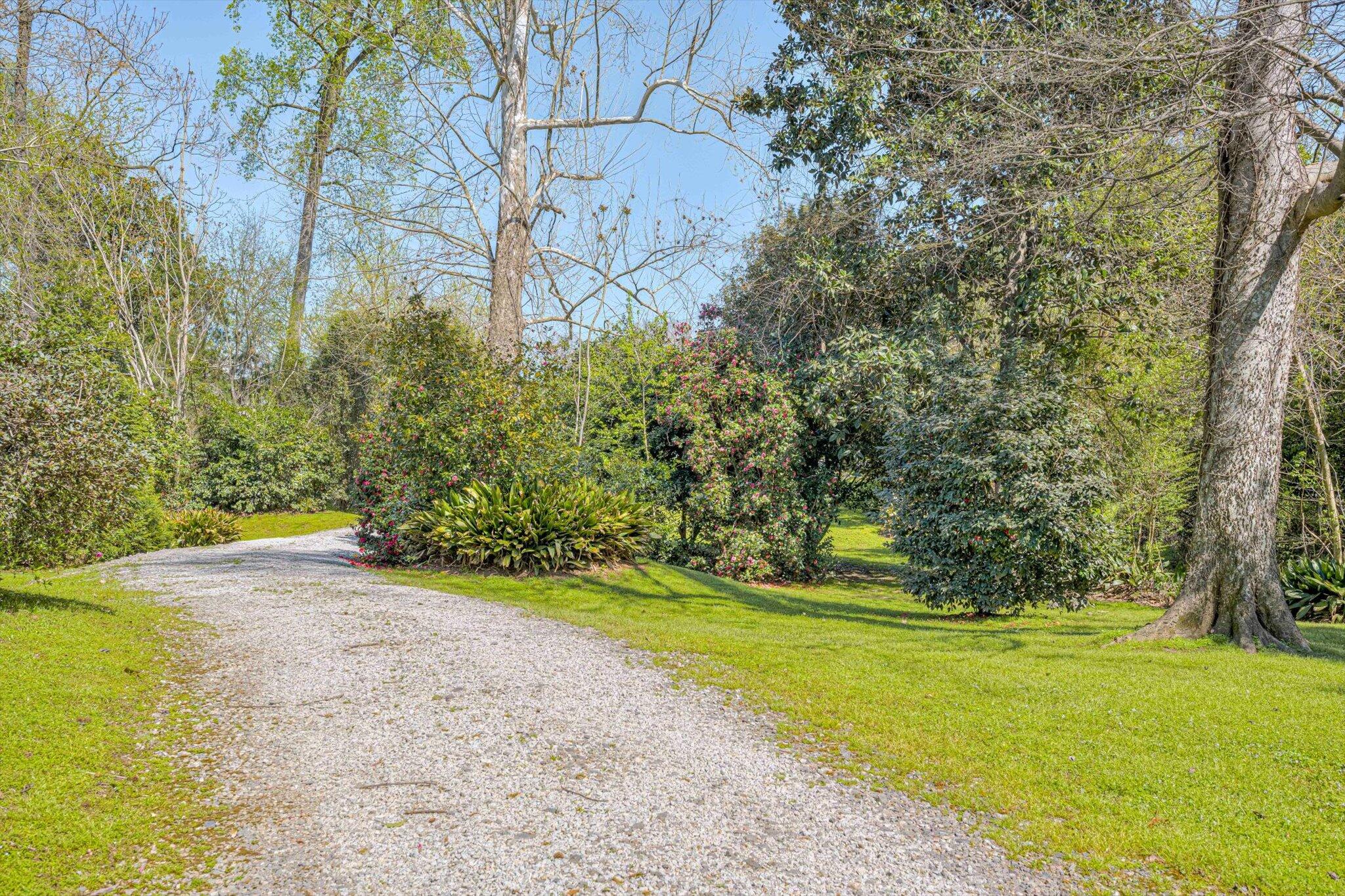 55 Alberclauss Drive