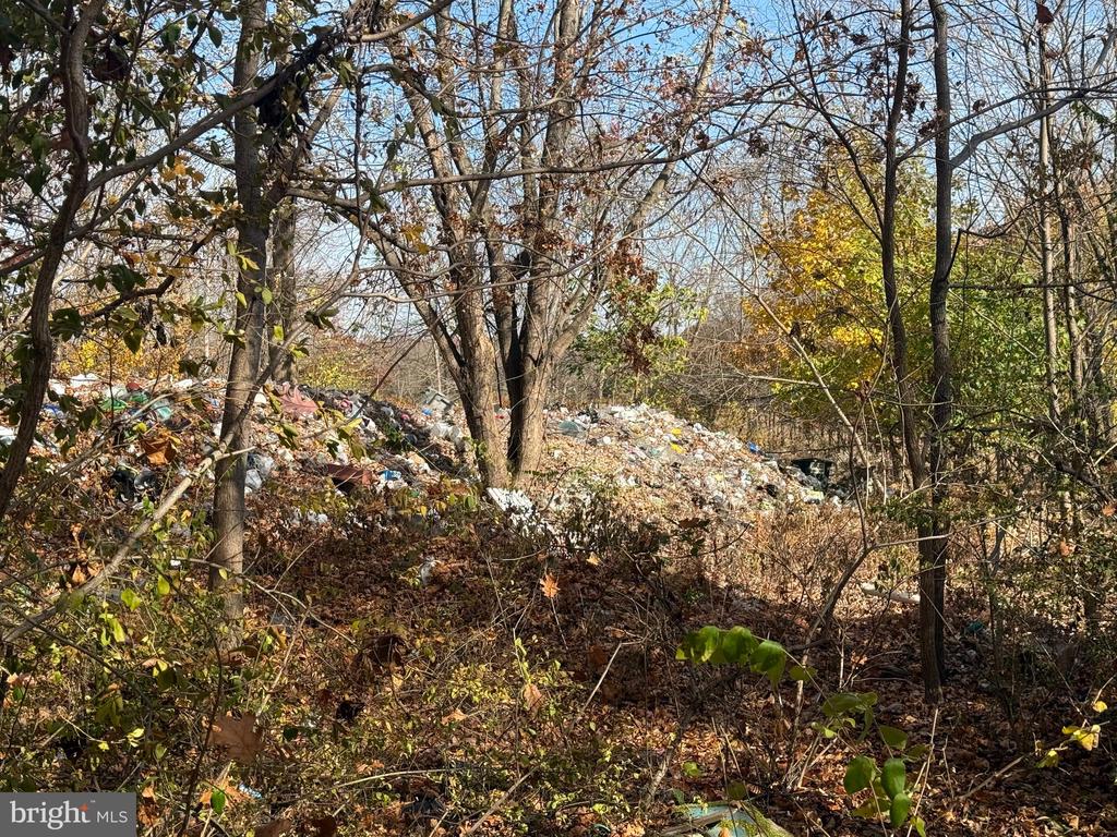 1262 OAK LANE