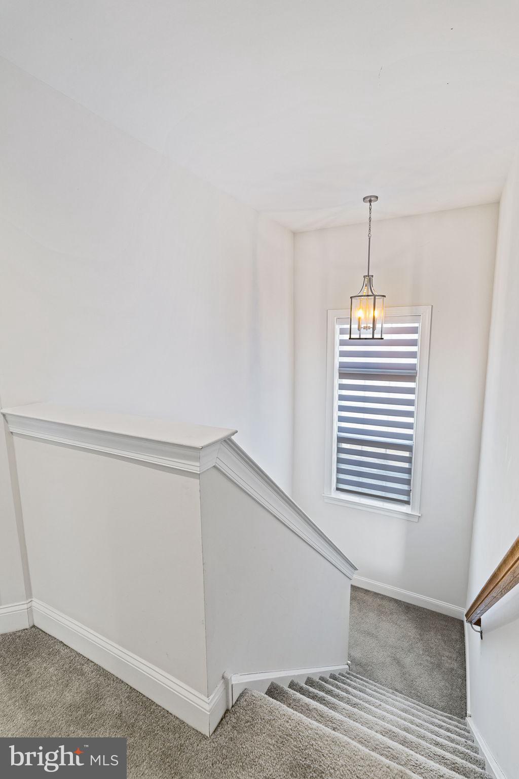26 Hamilton St