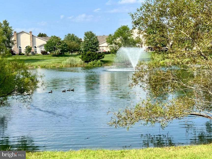 267 SHADY BROOK DRIVE 238