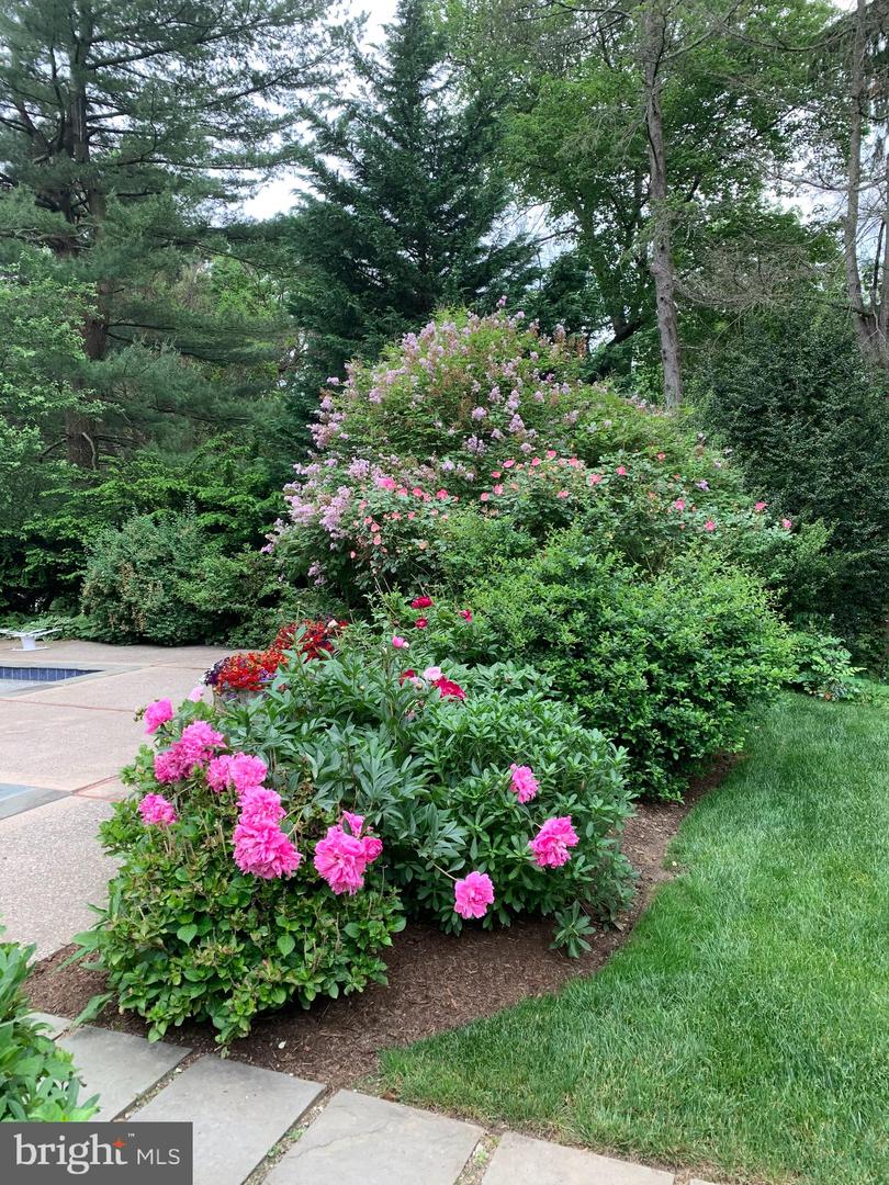 140 Old Gulph Rd