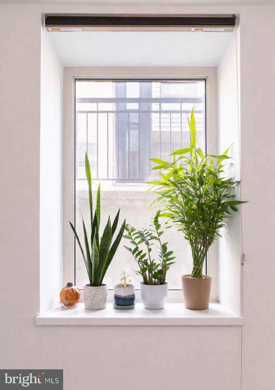 2549 GRAYS FERRY AVENUE A