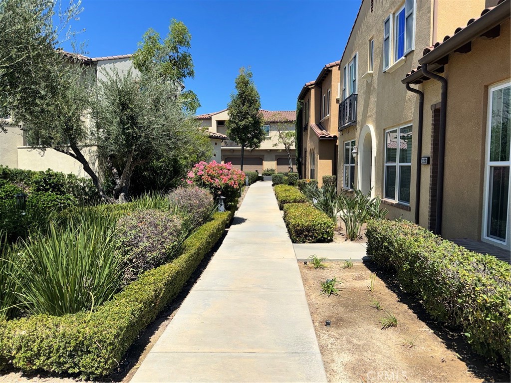 11229 Paseo Dorado