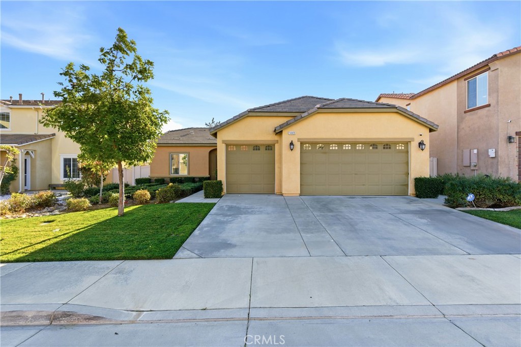 1449 Begonia way