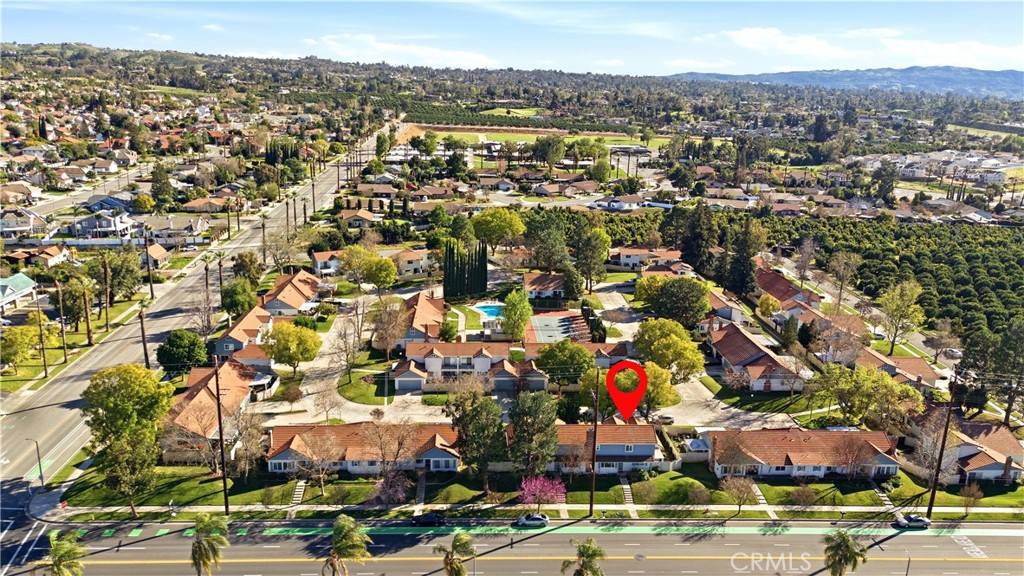 1562 E Citrus