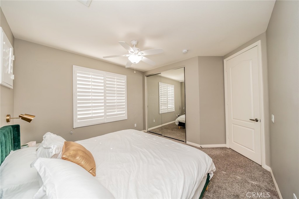 80592 Apricot Lane