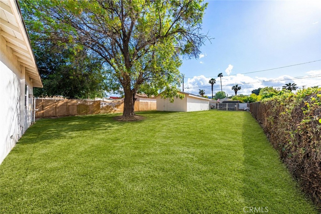 946 Cedar Street