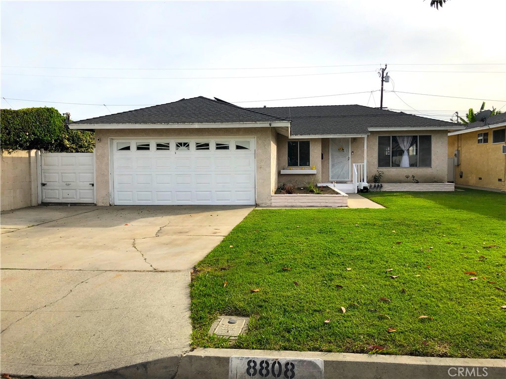 8808 Olive