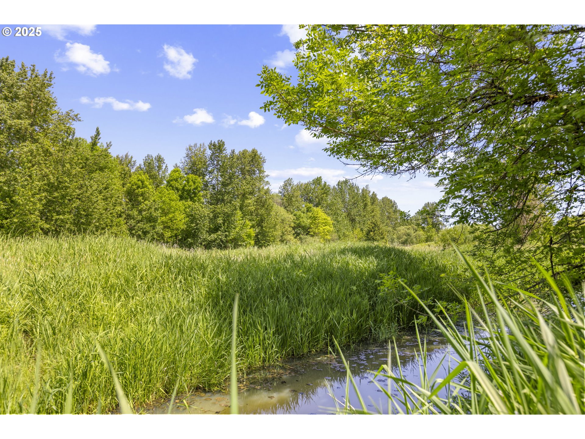 647 NE MEADOW DR, Portland