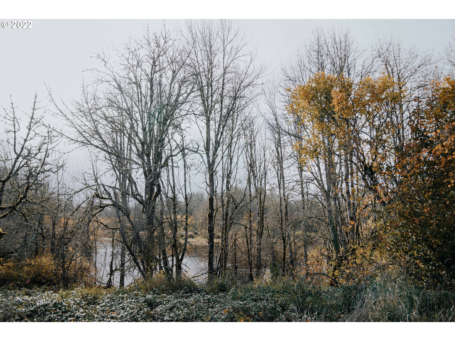 3171 S Nectarine St Lot 722