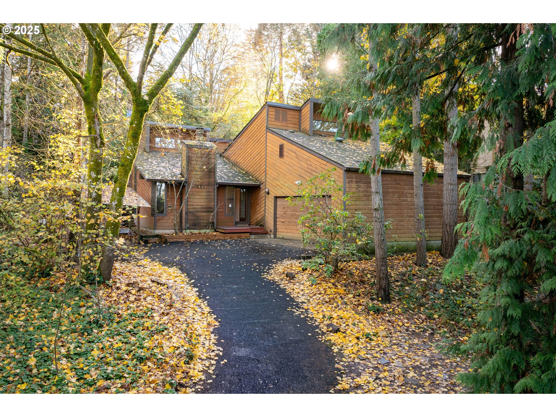 Wood-sided house with angular rooflines, framed by autumn trees and a leaf-covered driveway.