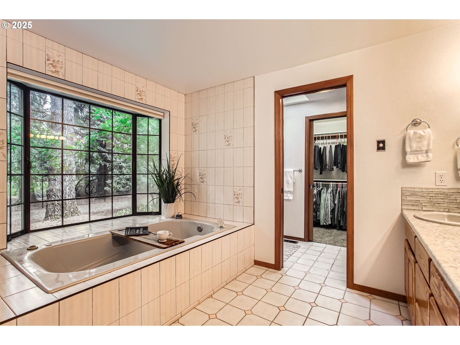 22001 S MONTE CARLO WAY