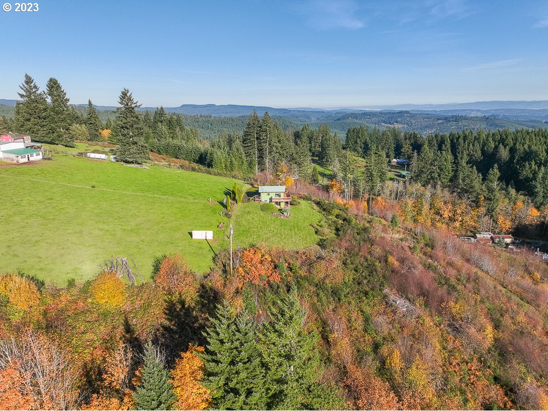 29911 PISGAH HOME RD