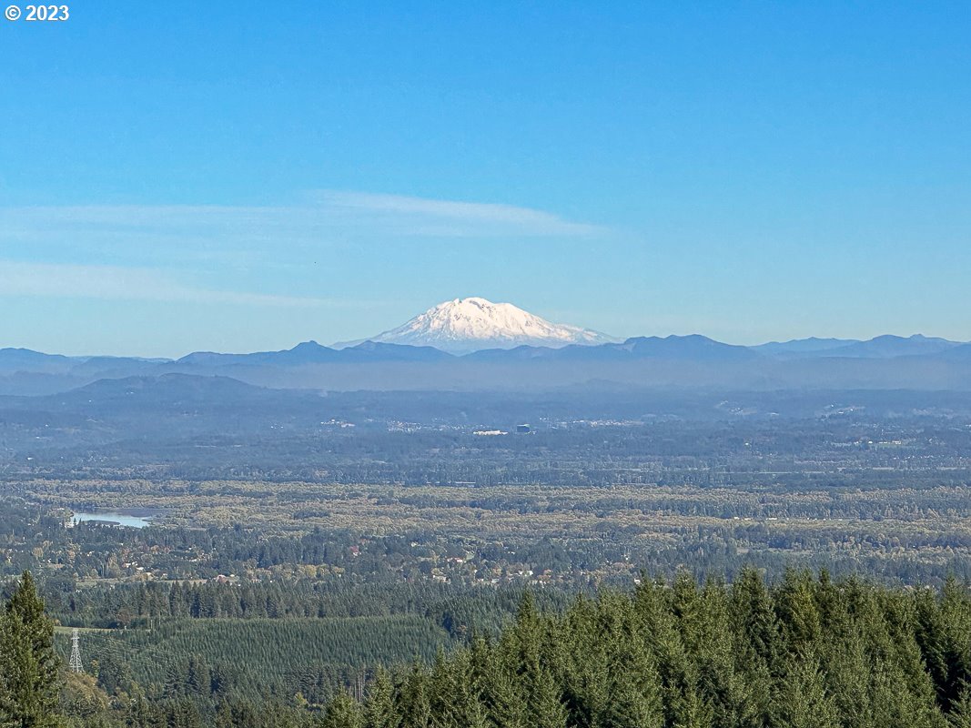 29911 PISGAH HOME RD