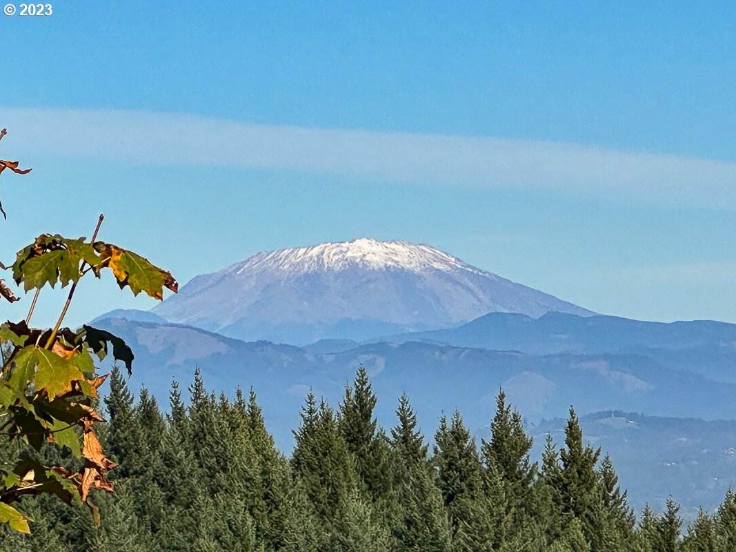 29911 PISGAH HOME RD