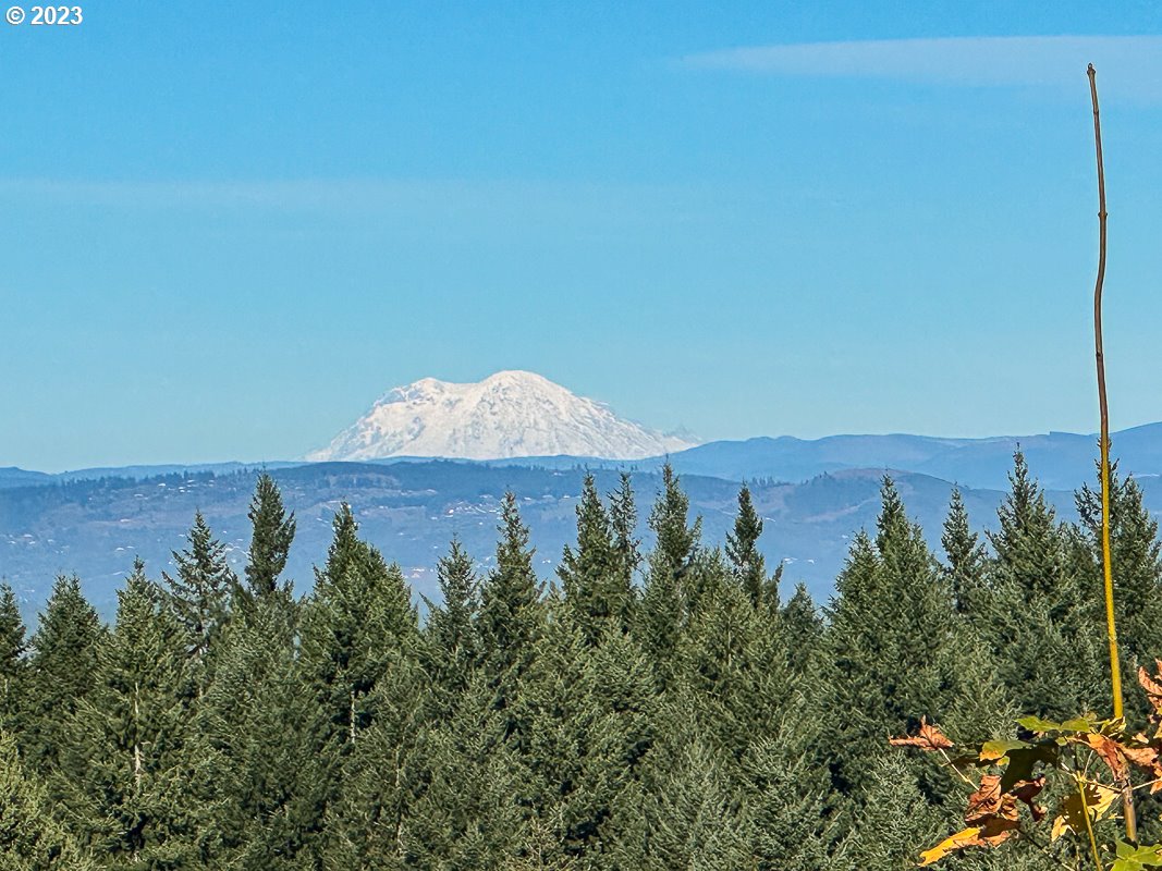 29911 PISGAH HOME RD