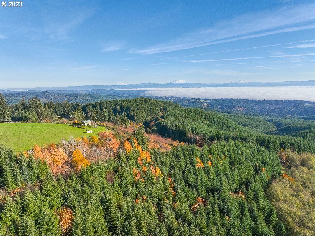 29911 PISGAH HOME RD