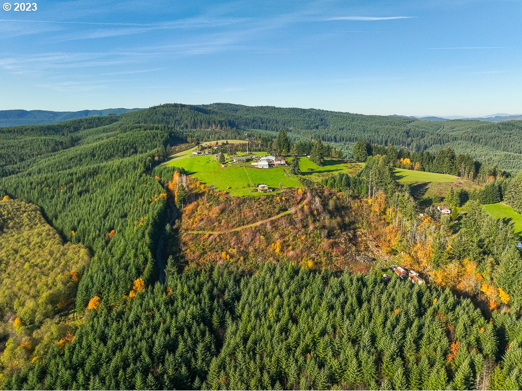 29911 PISGAH HOME RD