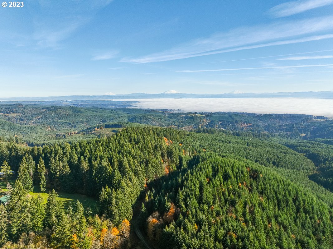 29911 PISGAH HOME RD