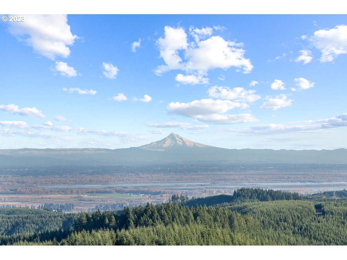 29911 PISGAH HOME RD