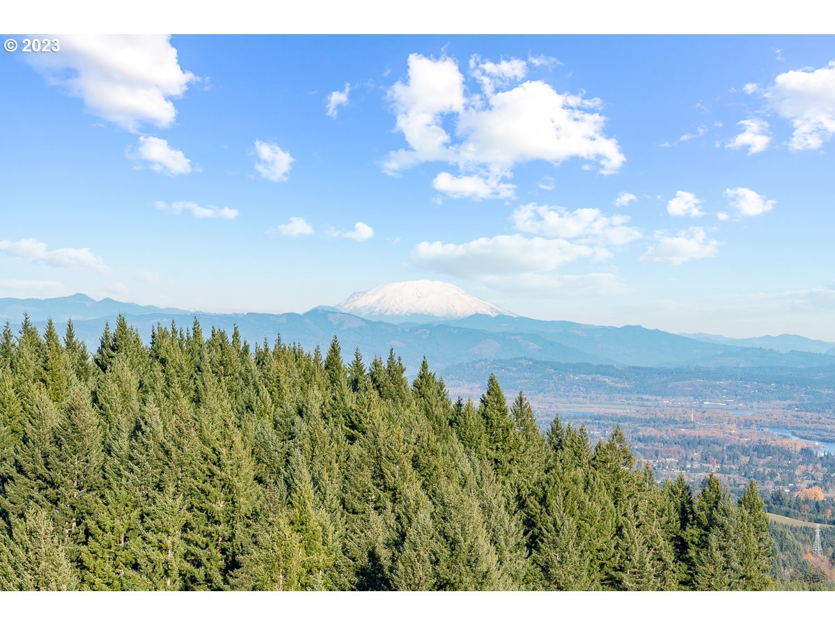 29911 PISGAH HOME RD