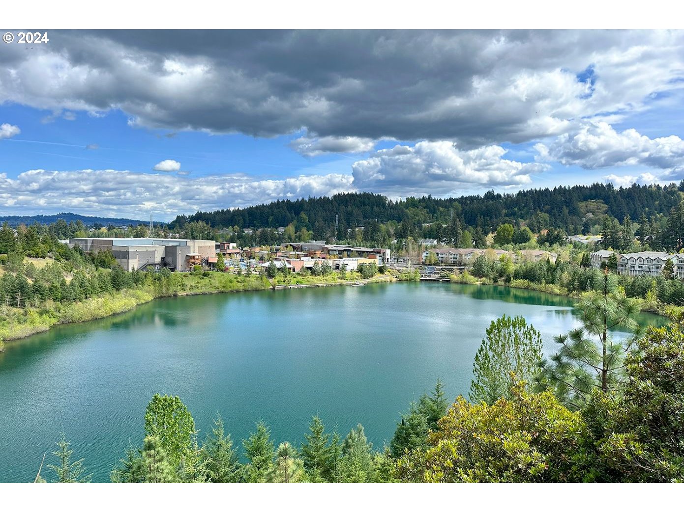 12470 SW Silvertip ST