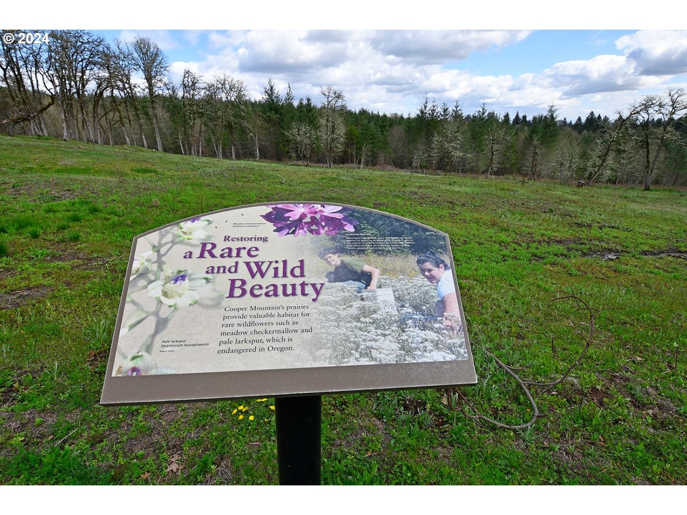 12470 SW Silvertip ST