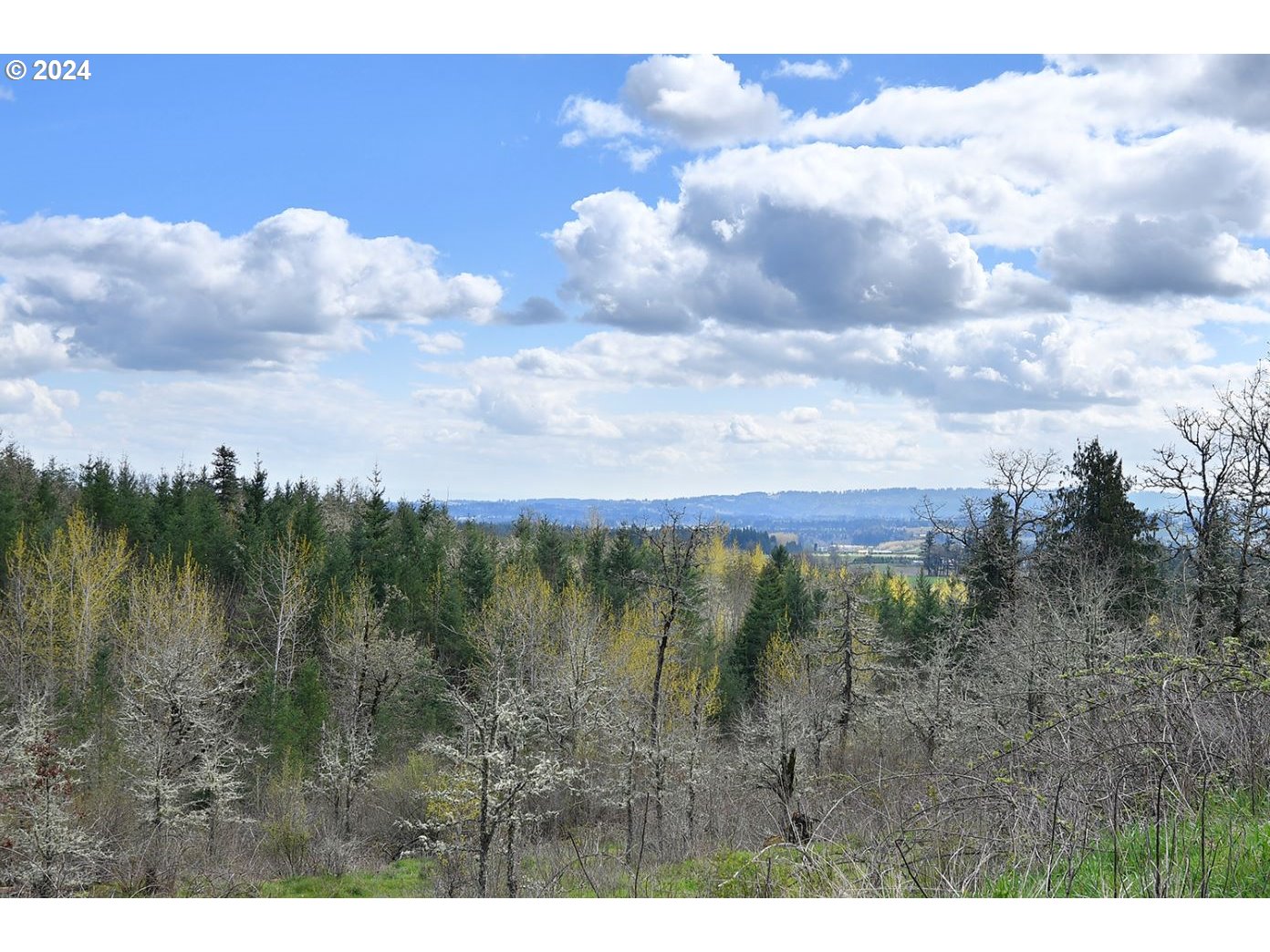 12470 SW Silvertip ST