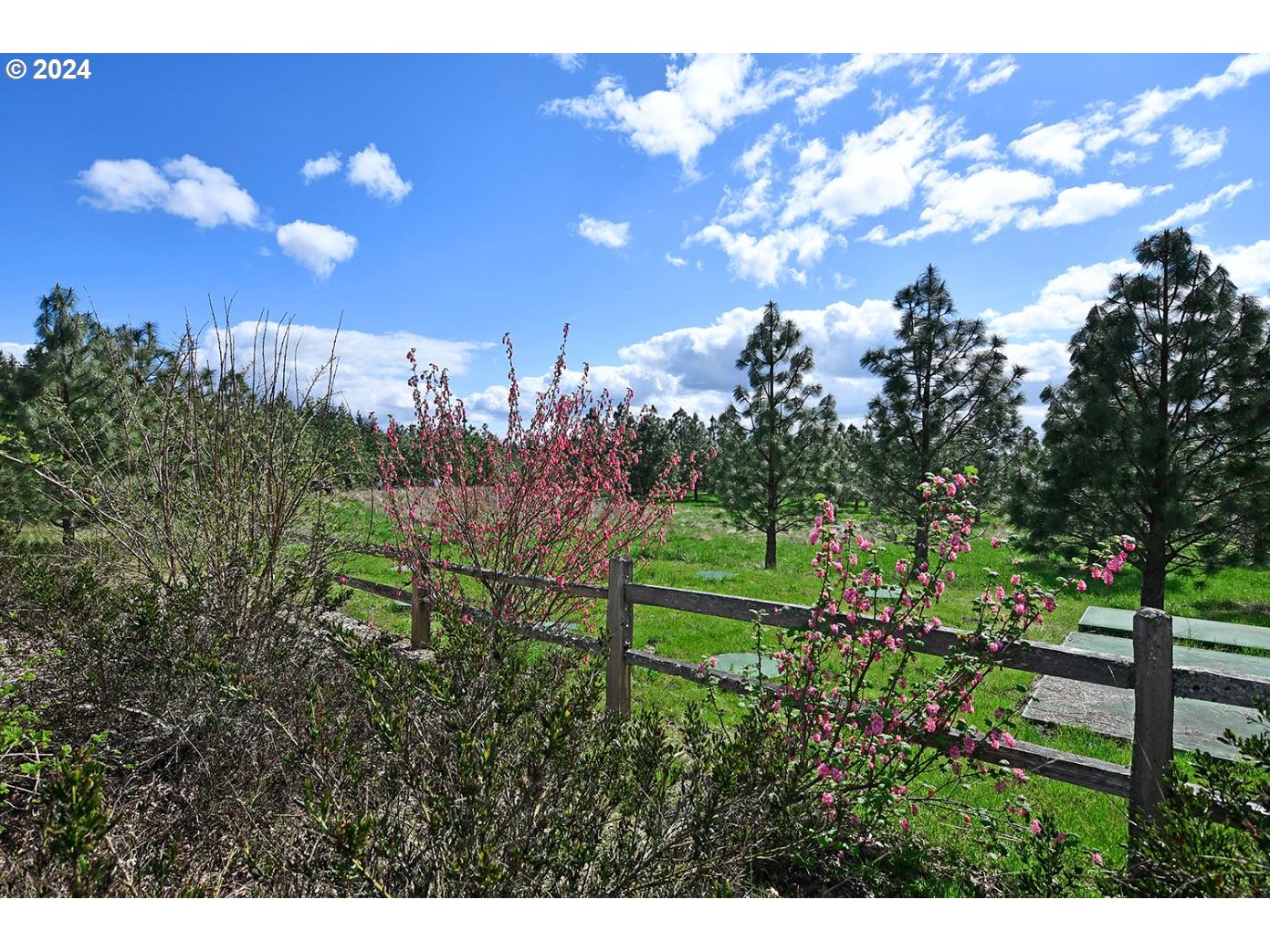 12470 SW Silvertip ST