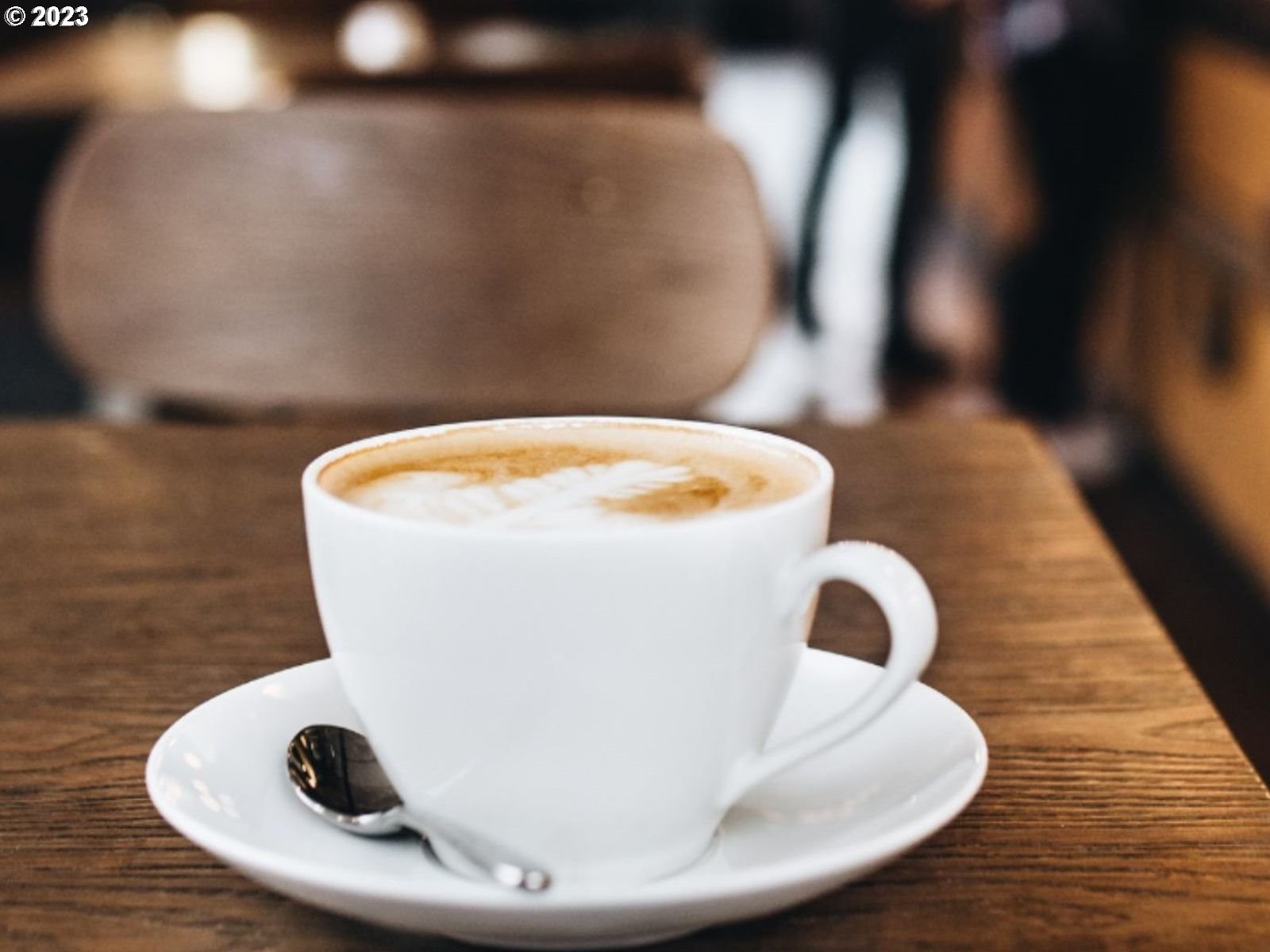 3729 SW STEPHENSON ST