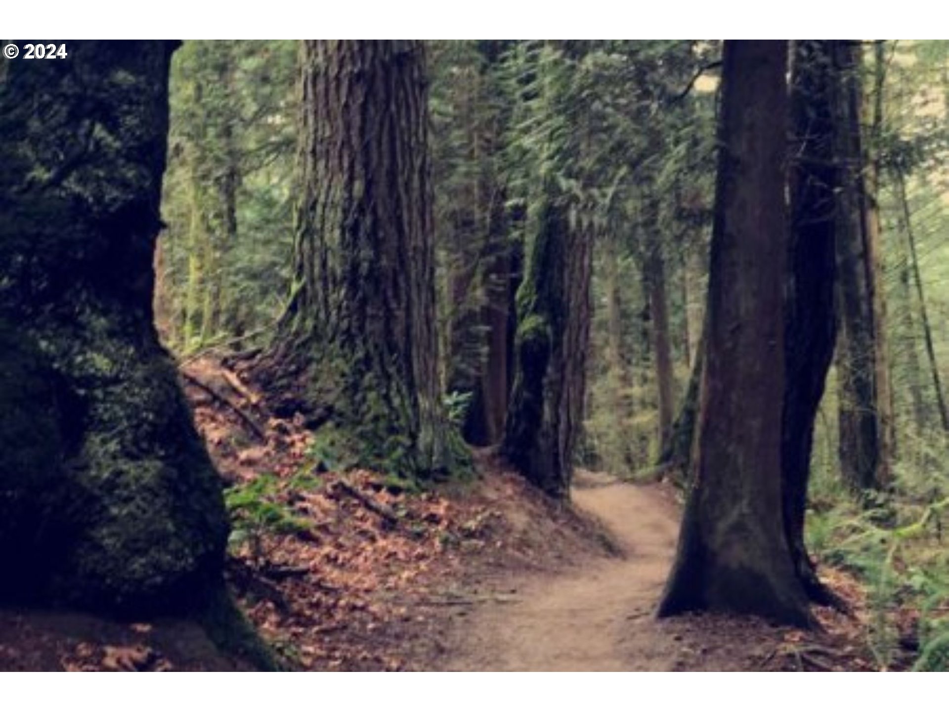 3525 SW COUNCIL CREST DR