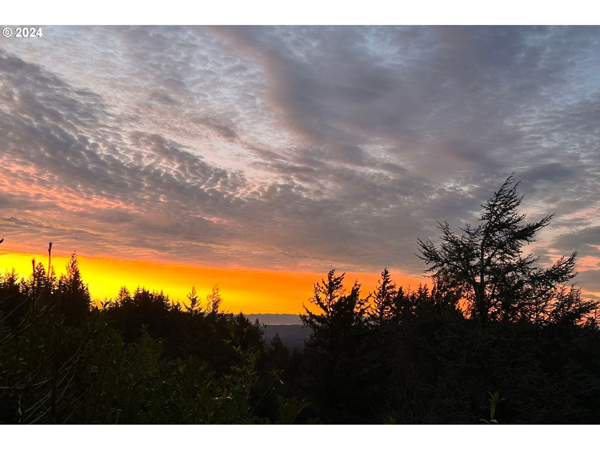 3525 SW COUNCIL CREST DR