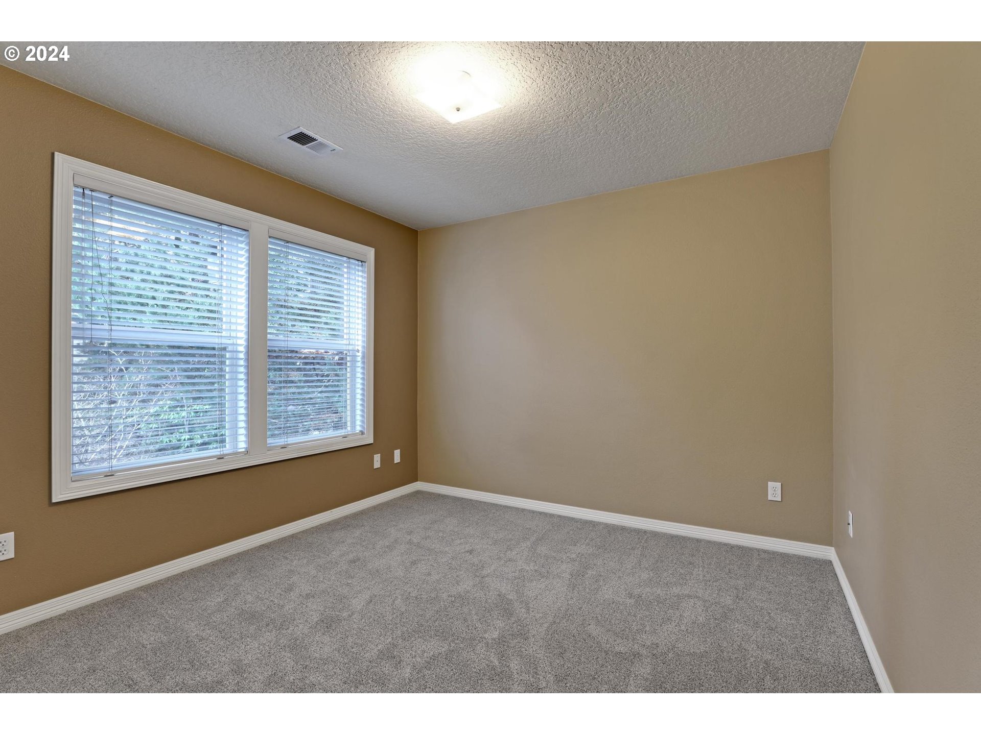 4333 SILVER CT