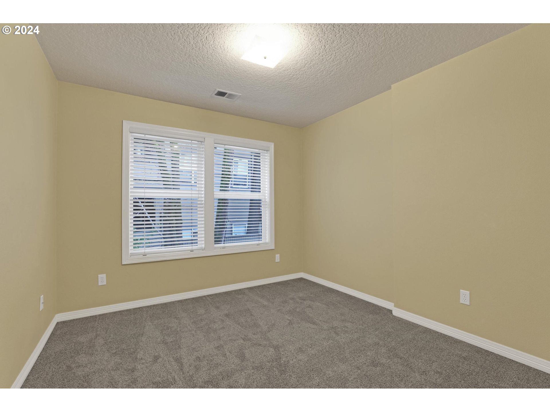 4333 SILVER CT