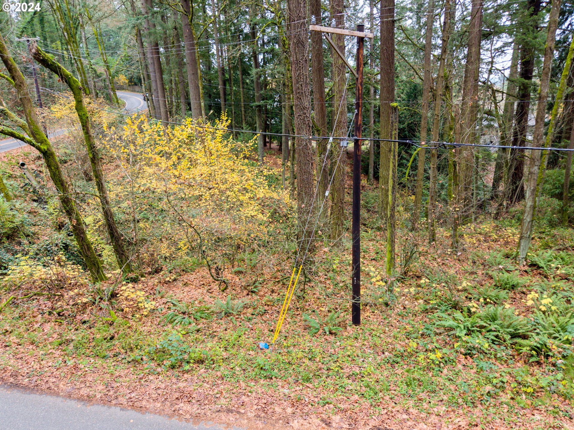 SW Patton RD