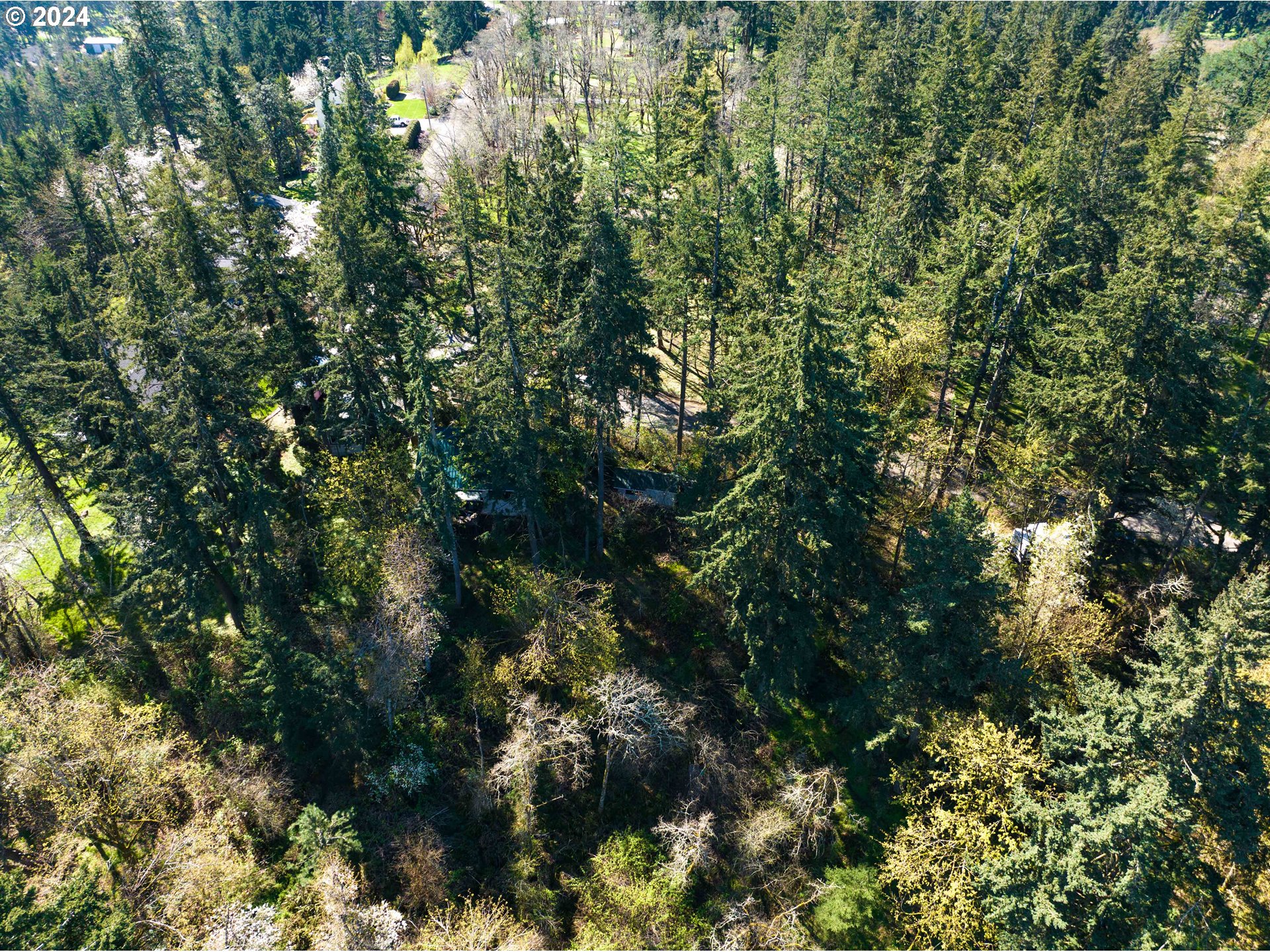 5232 MADRONA HEIGHTS DR NE