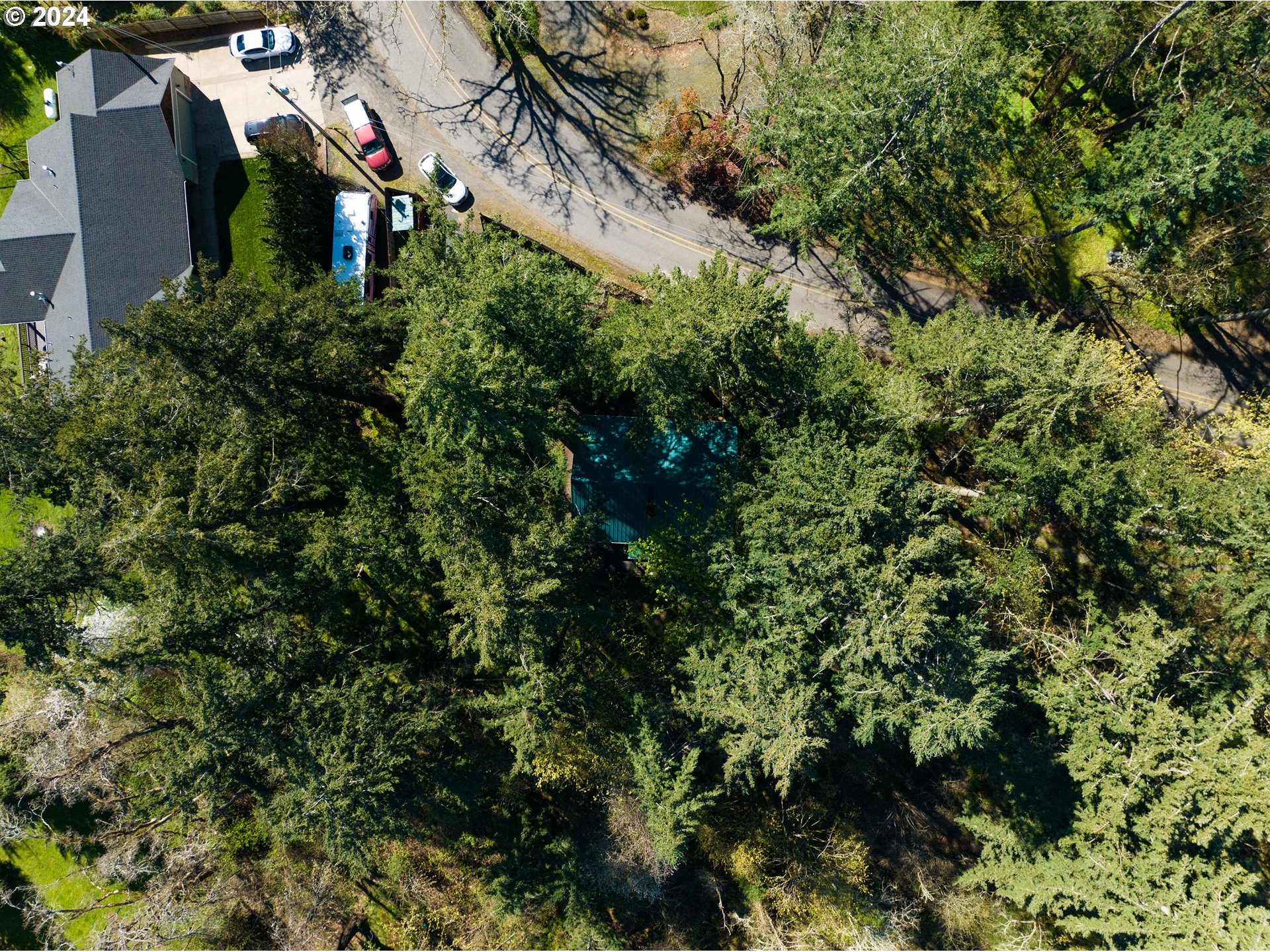 5232 MADRONA HEIGHTS DR NE